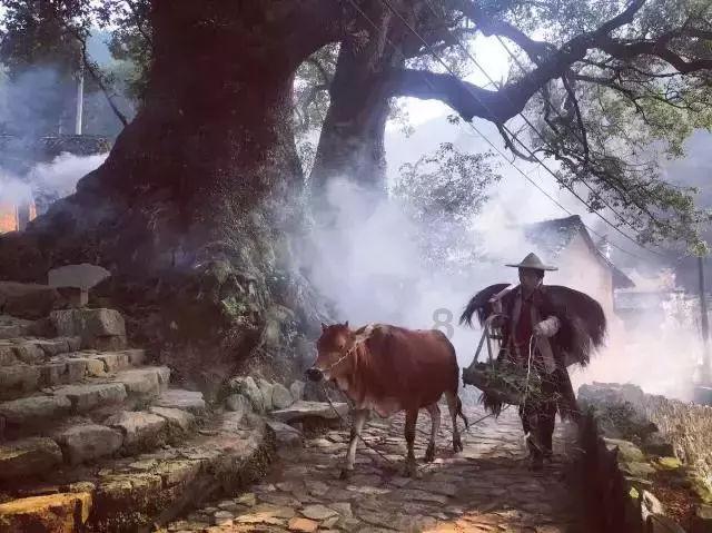 乌鲁木齐友善医院男科_护理精心,加强医德医风建设