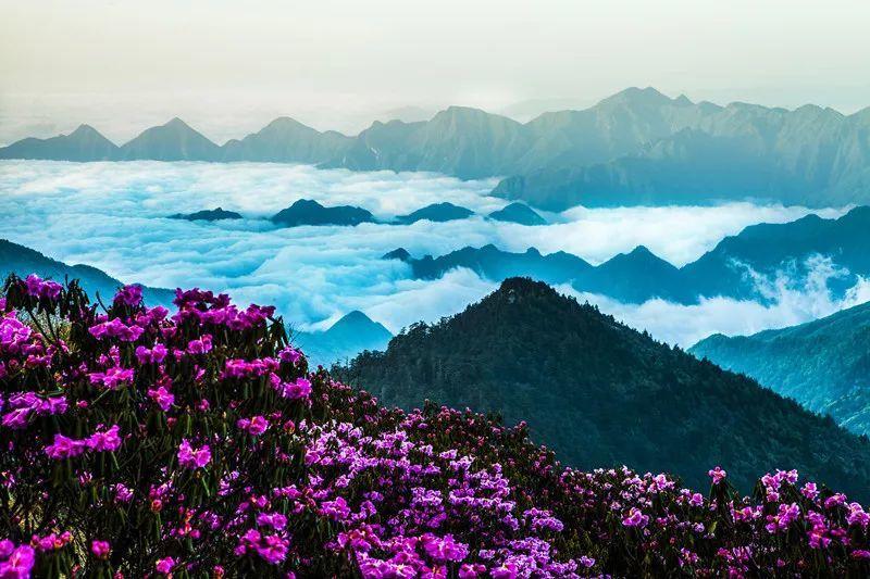 北京明远天下教育咨询有限公司:摊上事了怎么办